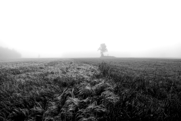 IMG_0734