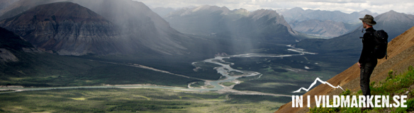 Toppbanner_inivildmarken_10
