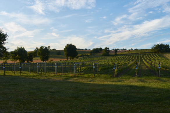 Orchards and many of them.