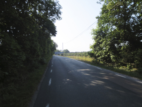 IMG_1662_15-07-04