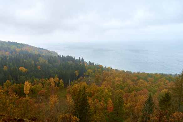 dsc00612_16-10-22
